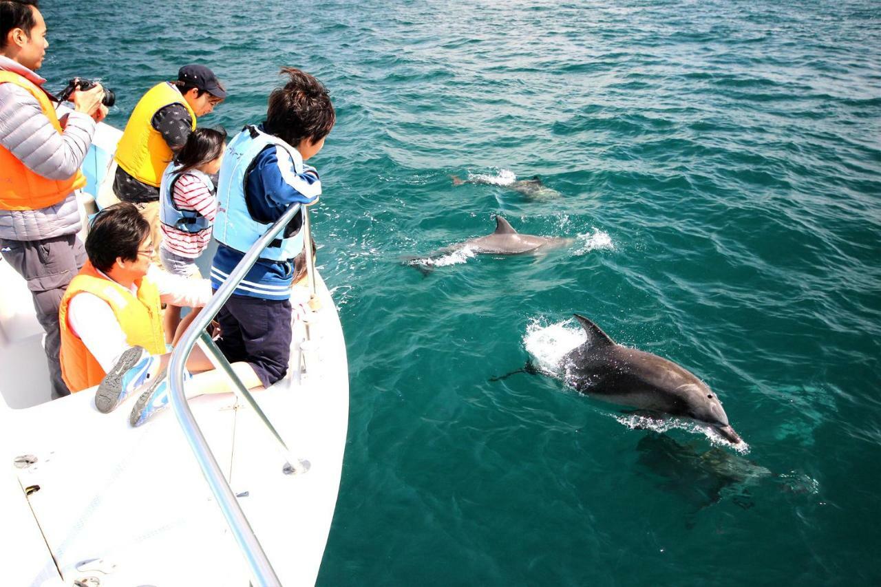Kami Amakusa Seacruise House Navio 아파트 호텔 외부 사진